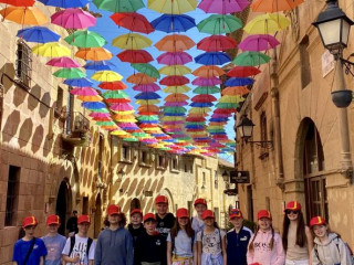 6c64bae4-1e77-48bc-b8cb-66adb0c84edc