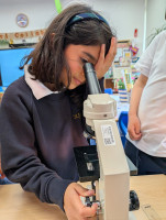 Biology-in-I2-39