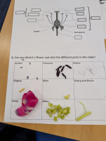 Biology-in-I2-40