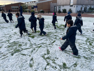 Snow-14