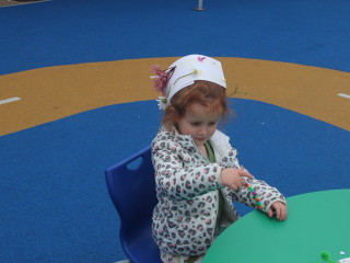 Wren3