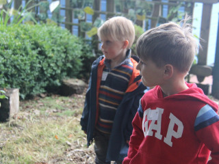 Wren7