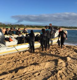 Beach – boat – July