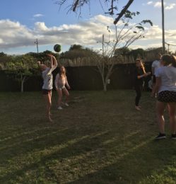 Grass – volleyball – July