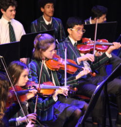 Christmas concert 2018 (19)