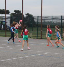 Alumni netball match (23)