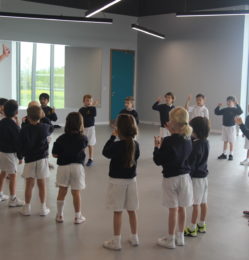 Wagtails body percussion (21)