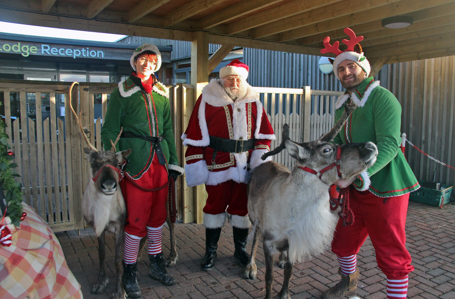 Gallery Christmas at King's The King's School Chester
